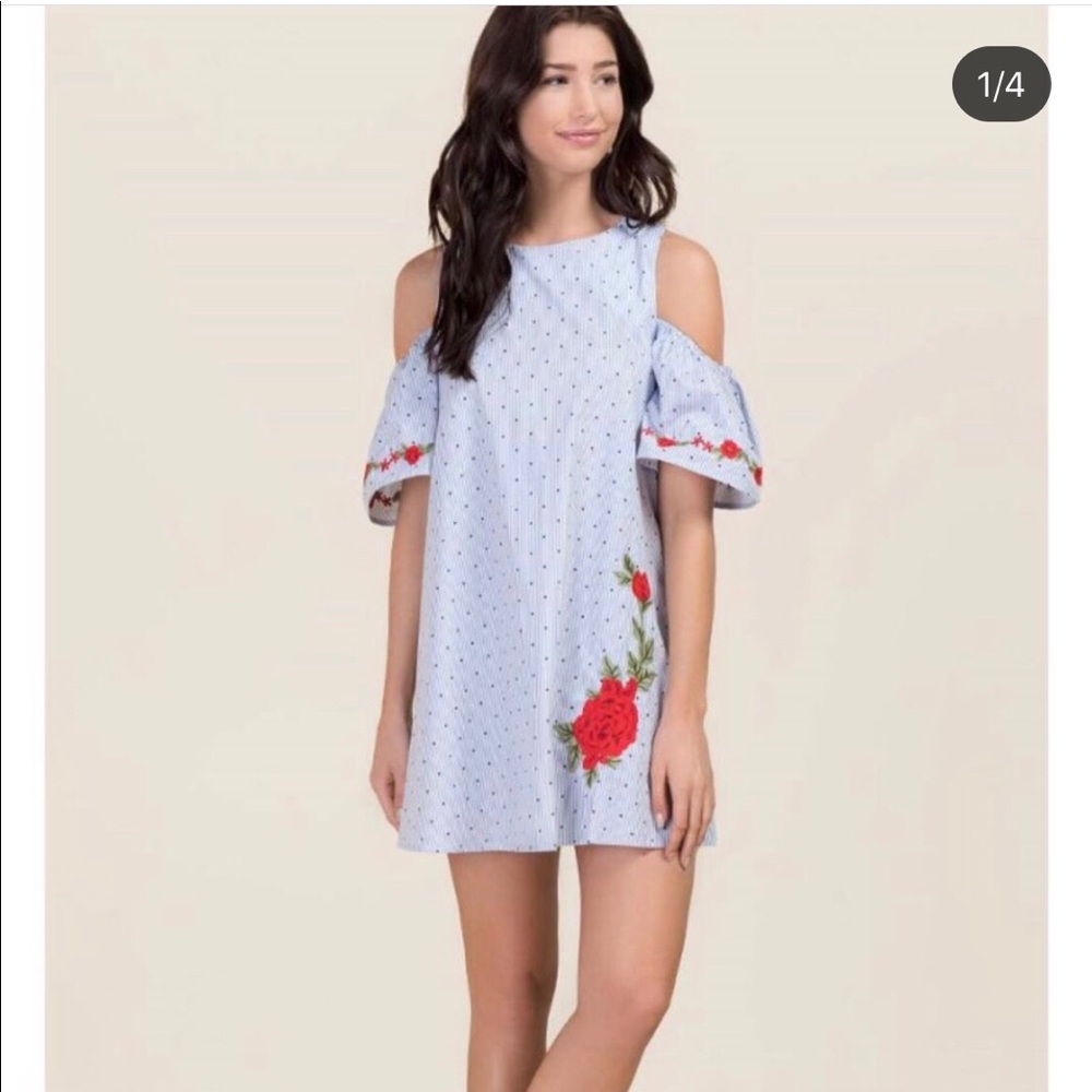 Francesca’s Dress